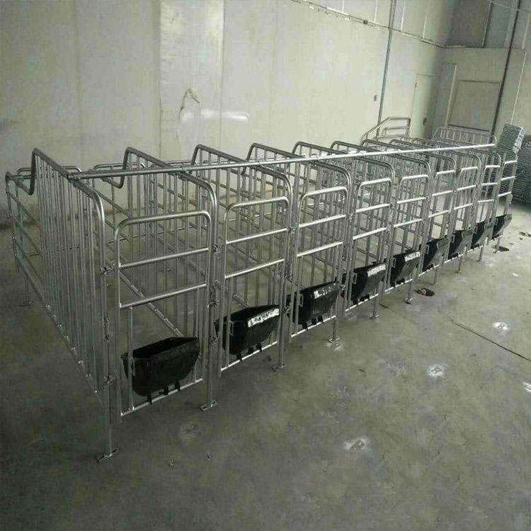 带漏粪板10猪位热镀锌钢管猪用母猪位母猪限位栏养殖设备