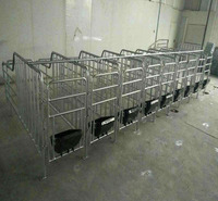 带漏粪板10猪位热镀锌钢管猪用母猪位母猪限位栏养殖设备