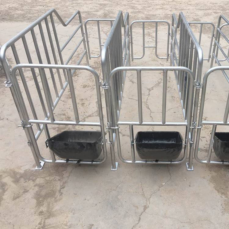 母猪限位栏产床定为栏保育床养殖场用设备猪围栏限位栏养殖设备