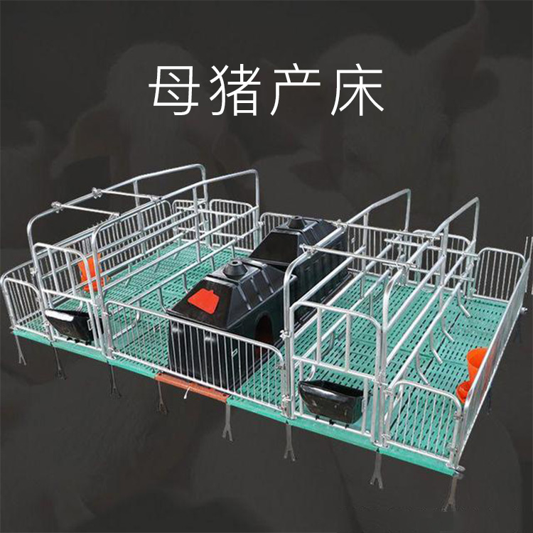 猪用产床 全复合产床 母猪分娩床 母猪产床 可定制 双体母猪产仔床