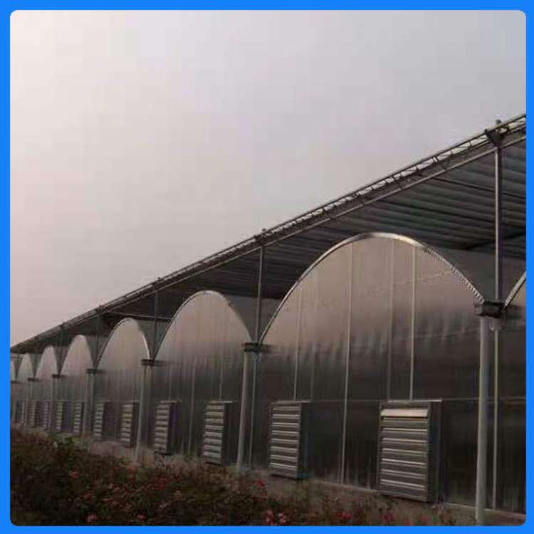 施工经验丰富 樱桃大棚 青州温室工程 连栋薄膜温室建设