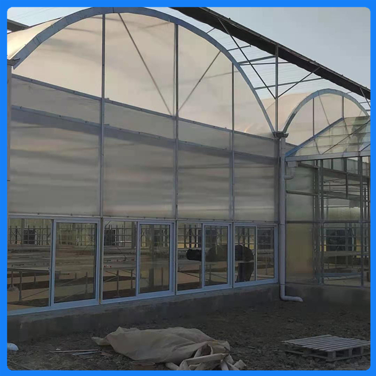 青州温室工程 种植大棚 施工经验丰富 连栋薄膜温室建设