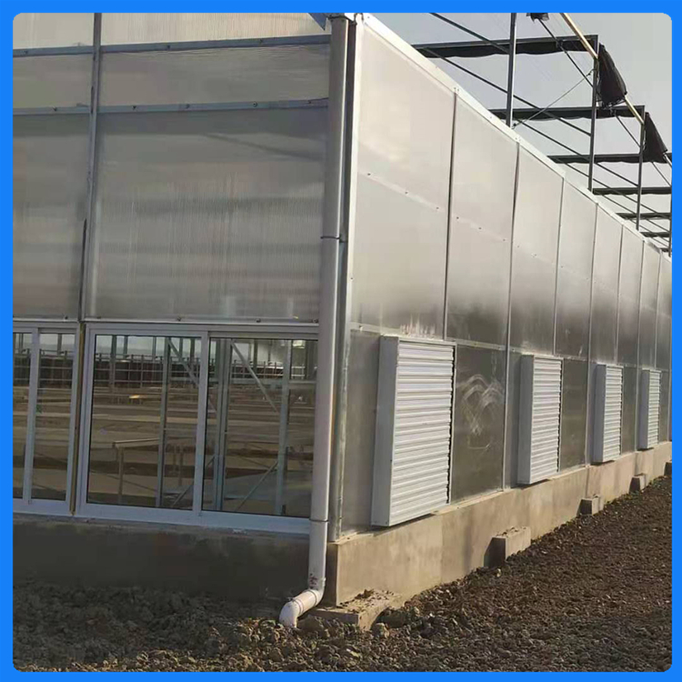 整体设计安装 简易连栋蔬菜大棚 山东温室工程 连栋薄膜温室造价