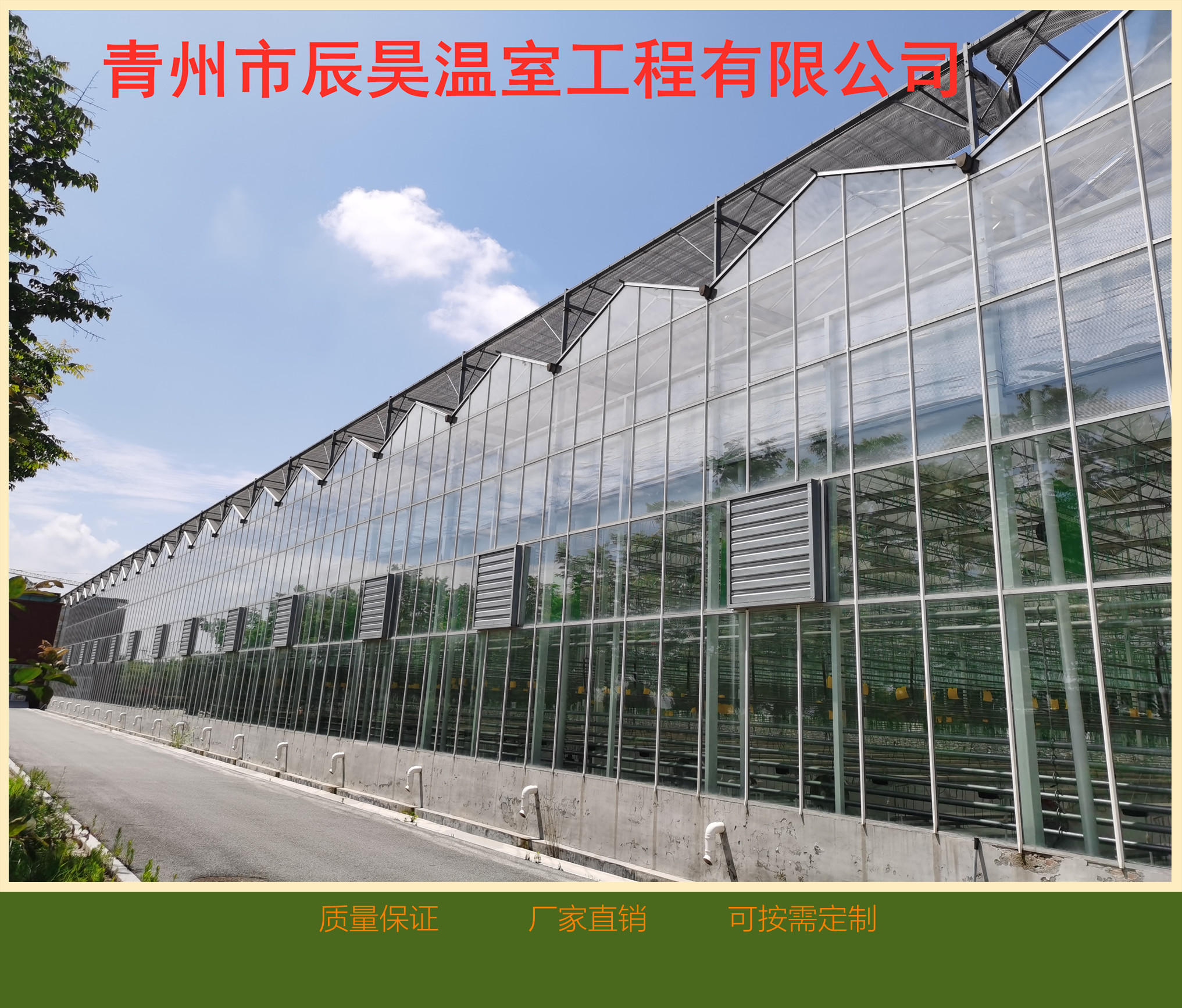 采光蔬菜温室    钢架结构大棚    价格合理