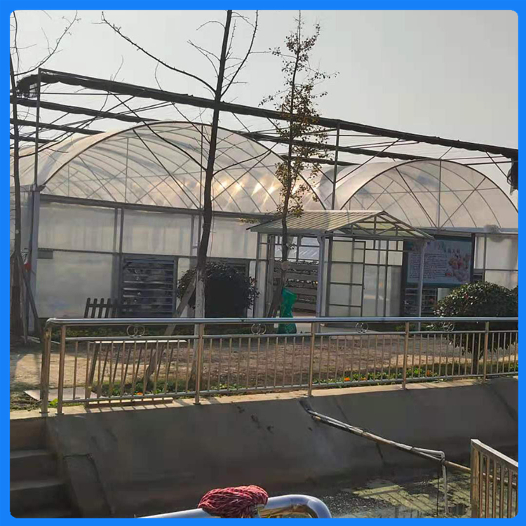 青州温室工程 蔬菜种植温室 真材实料 连栋薄膜温室建设