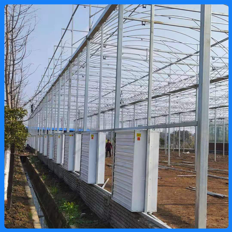山东温室工程 智能温室大棚 设计建设 连栋薄膜温室成本