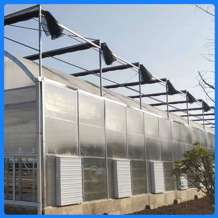 真材实料 香瓜种植大棚 青州温室工程 连栋薄膜温室造价