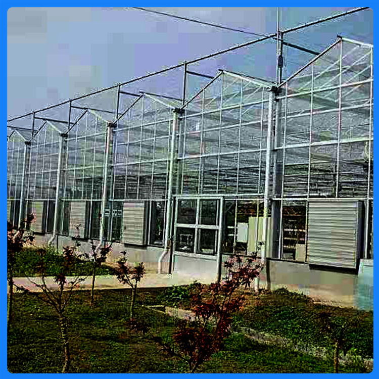 青州温室工程 蔬菜种植温室 造价合理 连栋薄膜温室造价