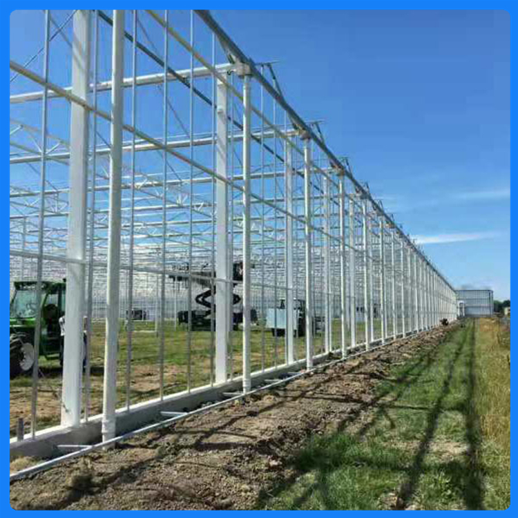 新型定制功能型薄膜温室  花卉育苗棚  草莓采摘园承建