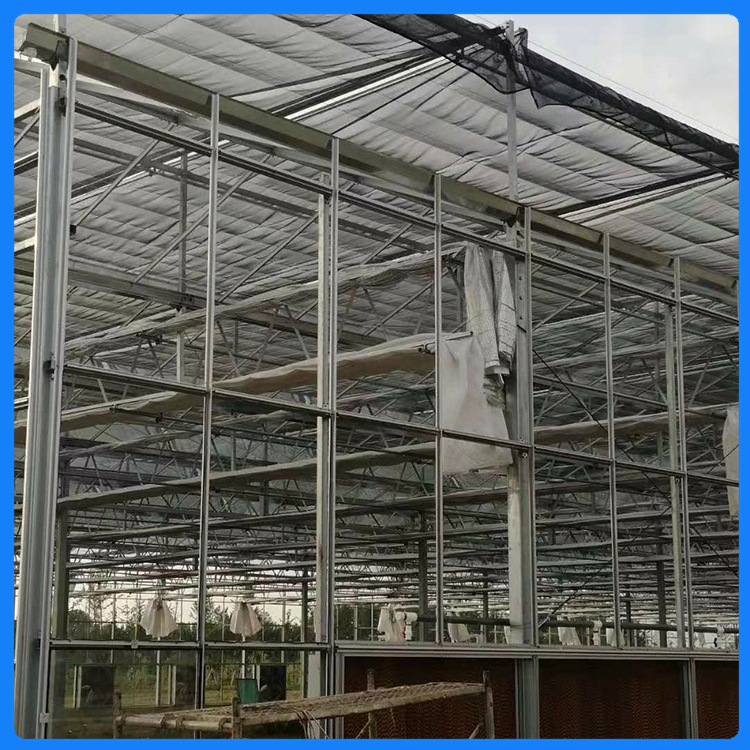 智能玻璃温室 温室工程公司建设 青州温室大棚 玻璃温室建造