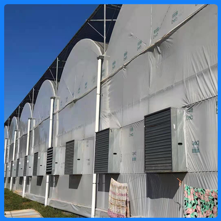 施工经验丰富 智能温室 山东温室工程 连栋薄膜温室承建商