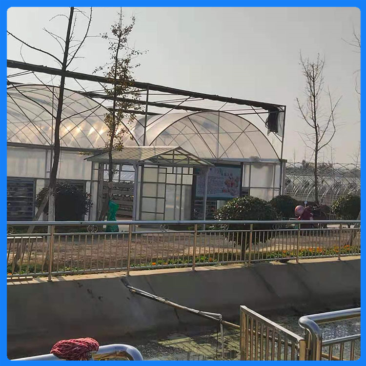 山东温室工程 花卉大棚 整体设计安装 连栋薄膜温室造价