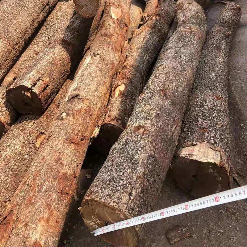 非洲檀香木 螺穗木 黄花梨 非洲檀香家具工艺品料