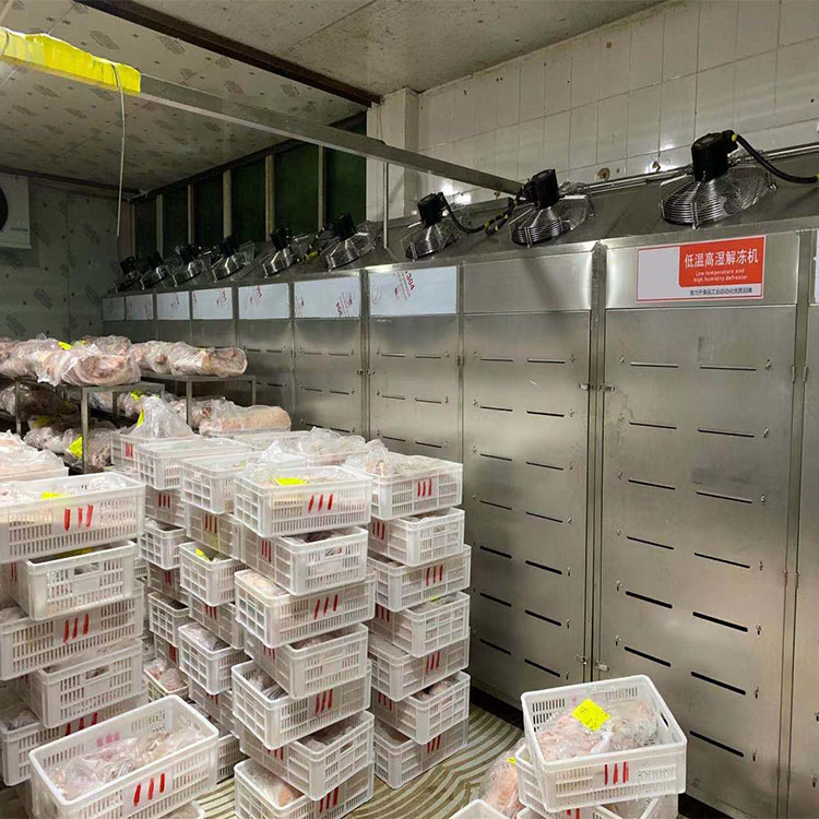 华力定制牛肉解冻机 羊肉低温高湿解冻机 羊排低温高湿解冻库