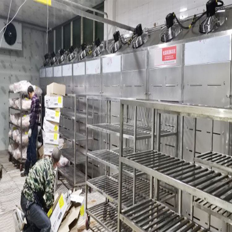 华力定制驴肉低温高湿解冻机 猪头低温高湿解冻机 整羊低温高湿解冻库