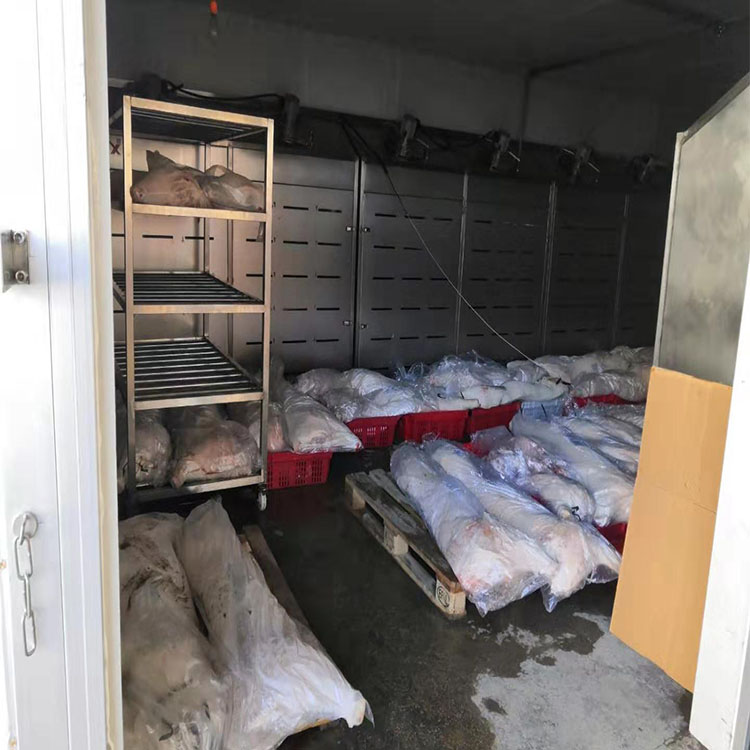华力现货低温高湿解冻机 肉块低温高湿解冻机 猪蹄解冻设备
