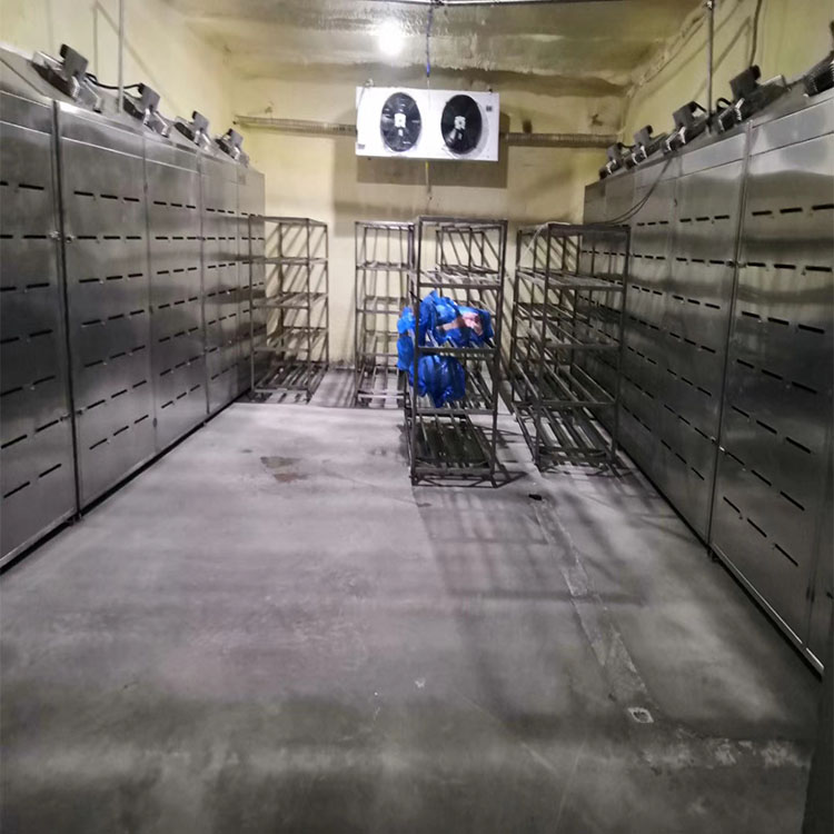 华力现货低温高湿解冻机 白条鸡解冻机 进口冻肉解冻设备