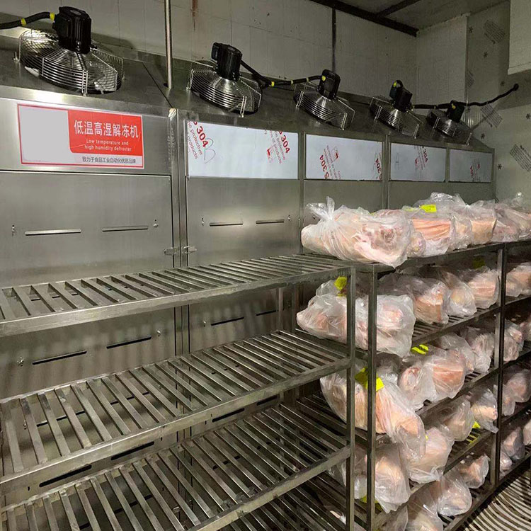 华力定制冻肉低温高湿解冻库 四分体冻肉解冻机 六分体解冻机