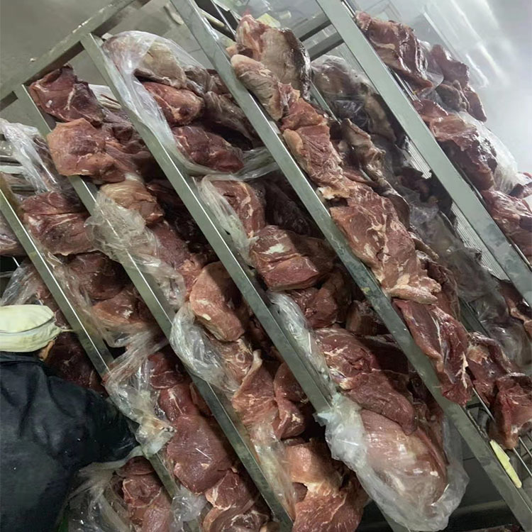 华力现货低温高湿解冻机 冻驴肉解冻机 猪尾解冻设备