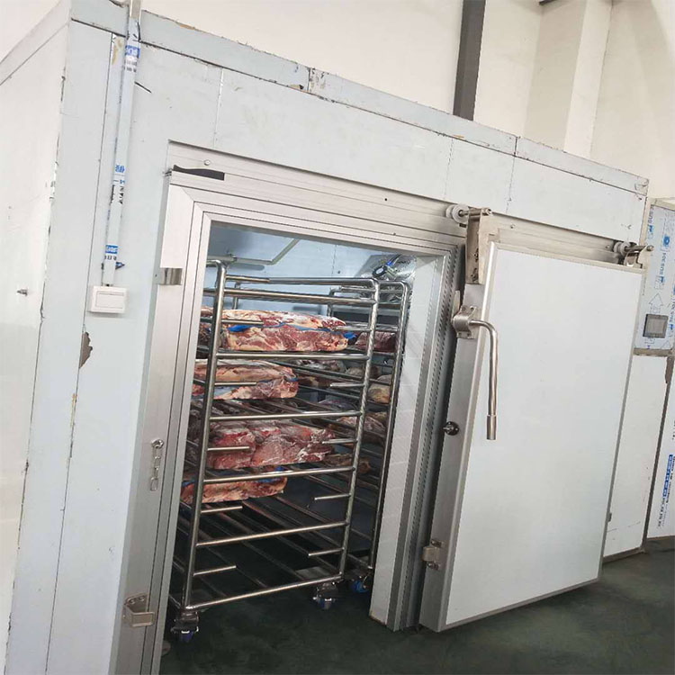 华力现货进口冻肉解冻机 大块肉解冻机 肉类低温高湿解冻库