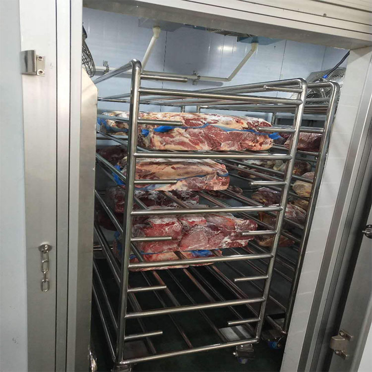 华力现货低温高湿解冻机 海鱼解冻机 冻盘鸡脖解冻设备