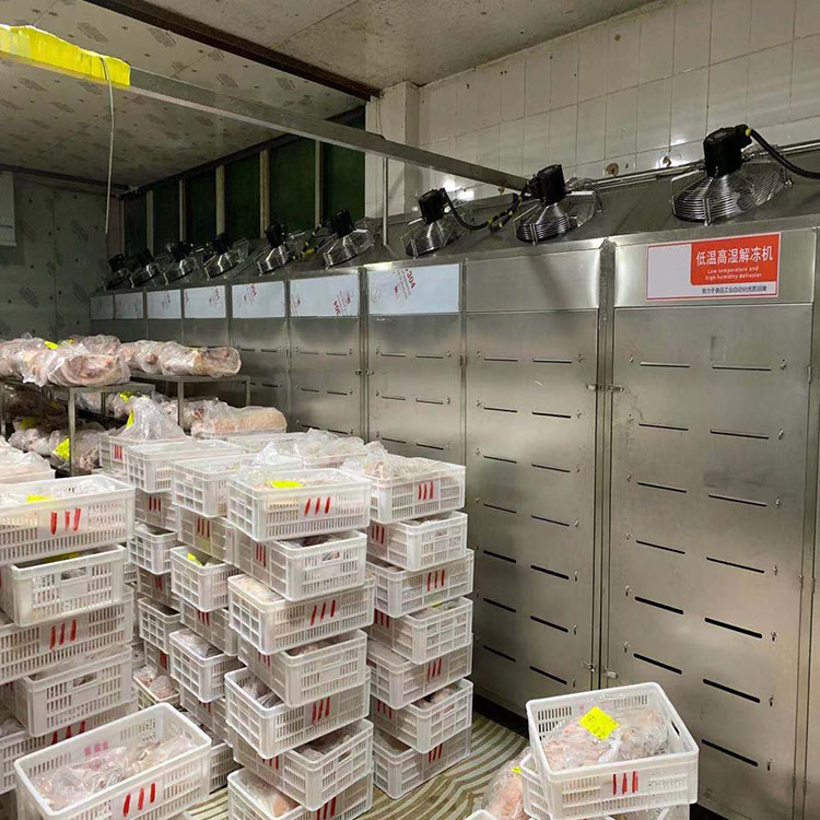 华力现货低温高湿解冻机 鳕鱼低温高湿解冻机 羊肉四分体解冻设备