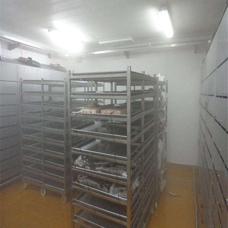 华力现货低温高湿解冻机 进口冻肉解冻机 鹅肉解冻设备