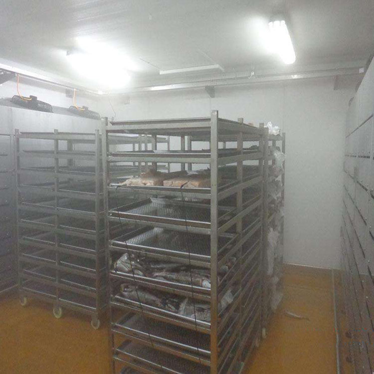 华力现货低温高湿解冻机 整鸡低温高湿解冻机 冻品低温高湿解冻库