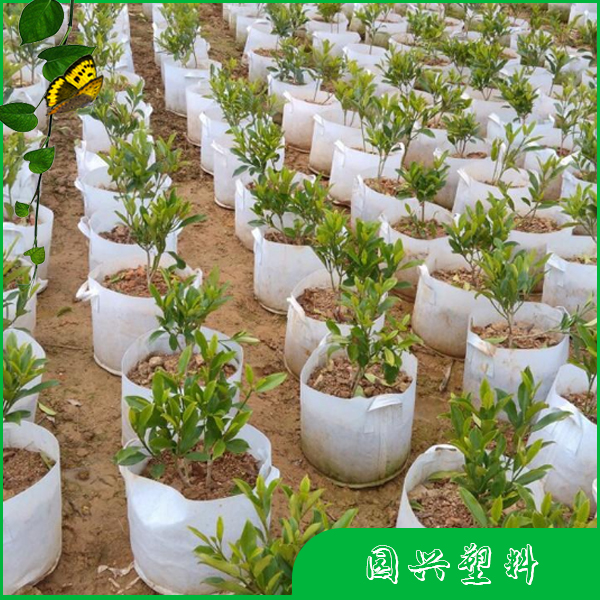 美植袋 环保植树袋 美植袋厂家