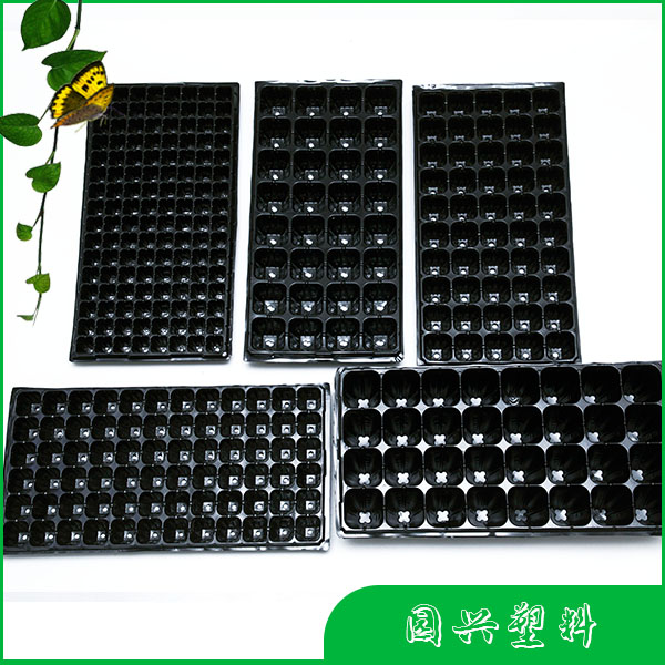 育苗穴盘  育苗穴盘加厚型
