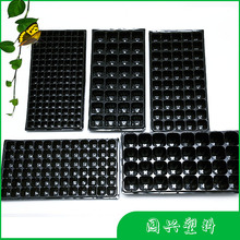 育苗穴盘  育苗穴盘加厚型