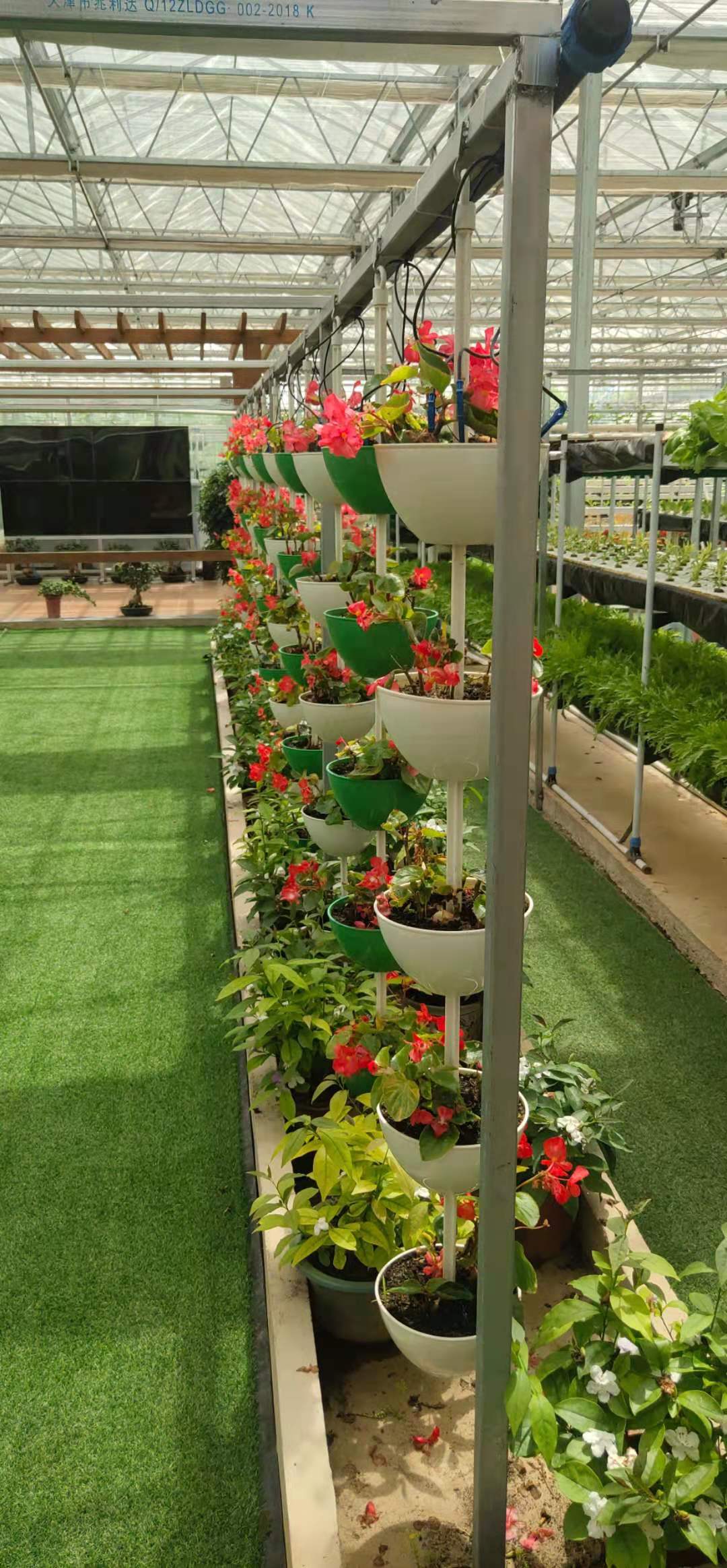  欢迎咨询【辰昊】 草莓温室大棚  连栋薄膜温室造价