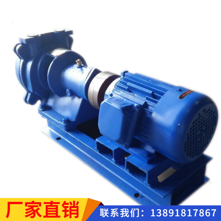 专业生产SZB-8除气器真空泵厂家