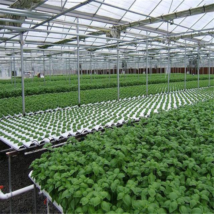 育苗阳光板温室 种植阳光板温室大棚 阳光板温室安装
