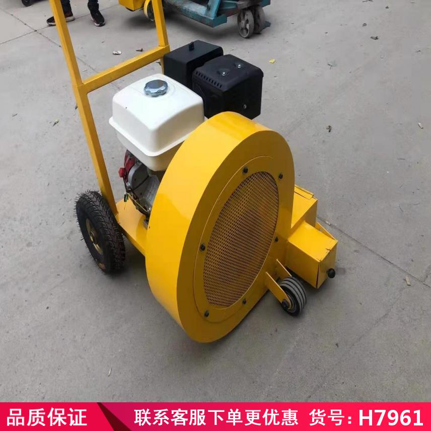 润创背负式路面吹风机 车载式路面吹风机 噪声小的吹风机货号H7961