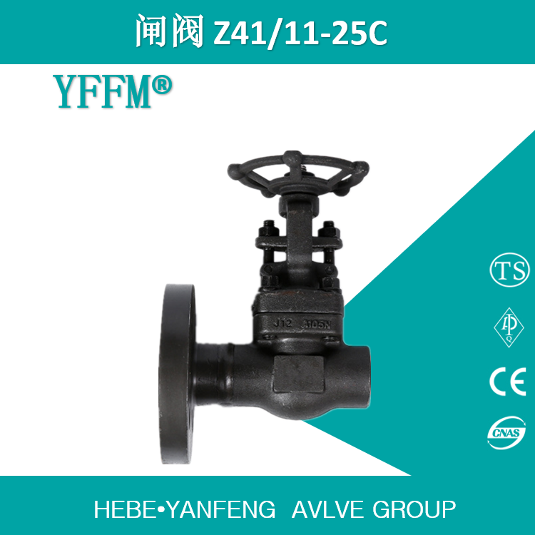 法兰式二阀组闸阀Z41/11-25C-DN25法兰/DN25螺纹 A105