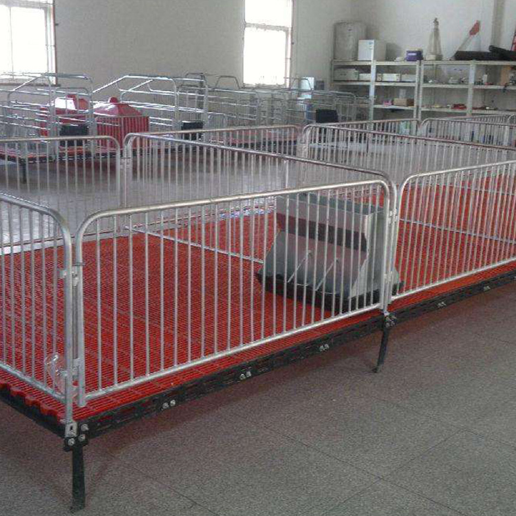 母猪保育床 养猪场用保育床 小猪保育床 设计合理