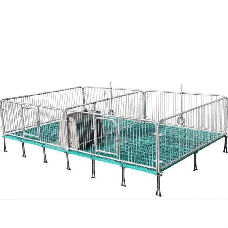 全复合双体仔猪保育床 小猪单体保育床 热镀锌保育床 养猪用保育栏设备