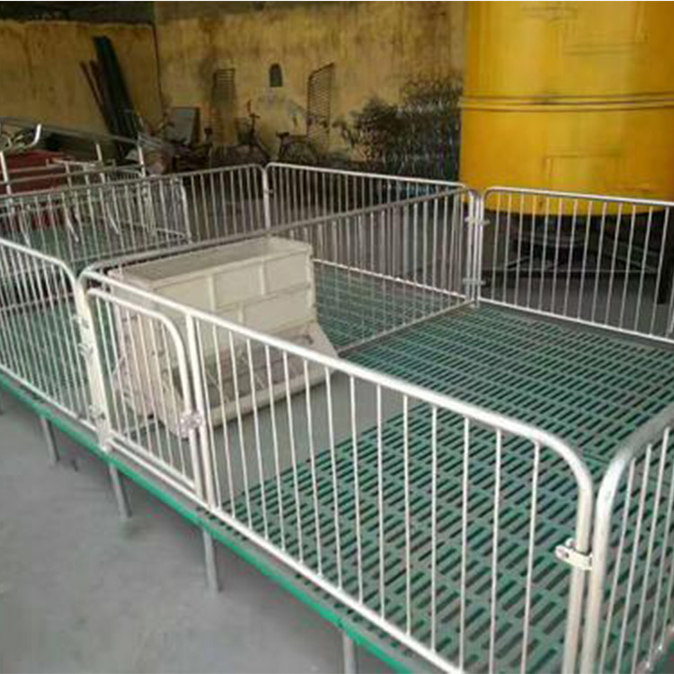 保育床 养猪设备 复合母猪产床 养殖母猪保育床