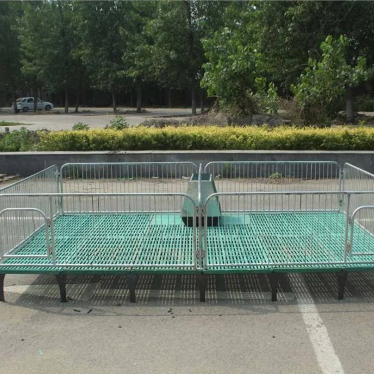 仔猪保育床 复合保育床 猪用保育栏 养猪双体保育床