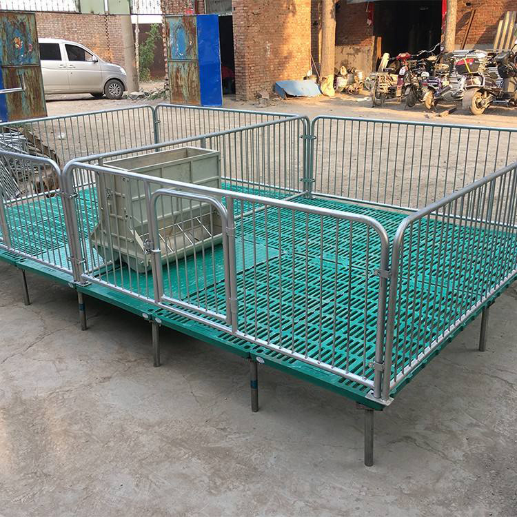 复合板仔猪保育床 现货批发 母猪保育床 仔猪保育床 