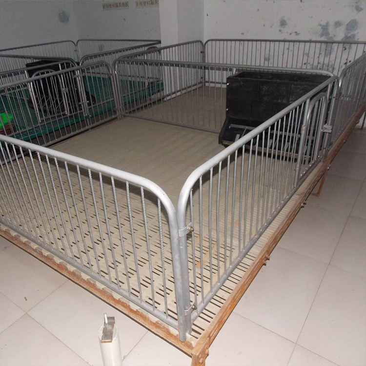 仔猪保育床 小猪复合保育床 母猪保育床 双体仔猪保育栏