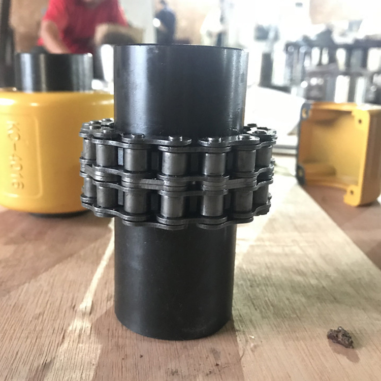 滚子链联轴器 生产供应双排滚子链联轴器 链条联轴器 传动件定做