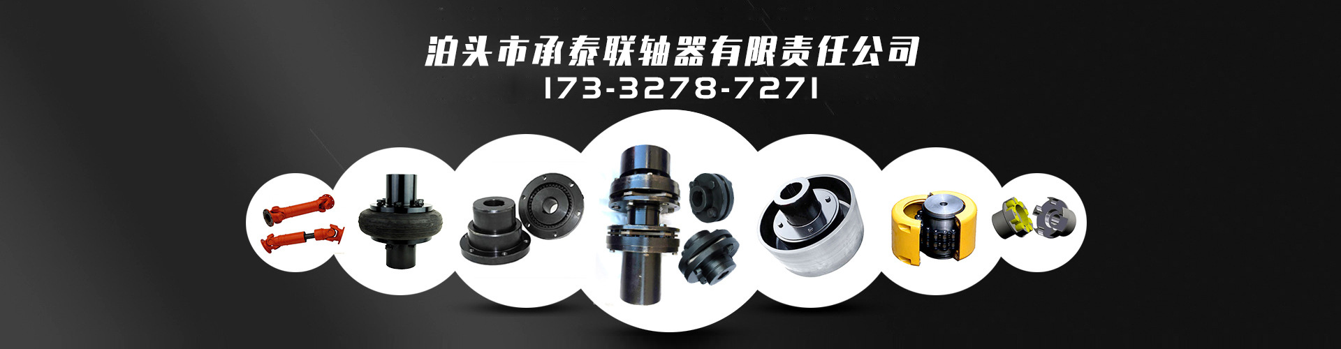 泊头市承泰联轴器有限责任公司 主营产品