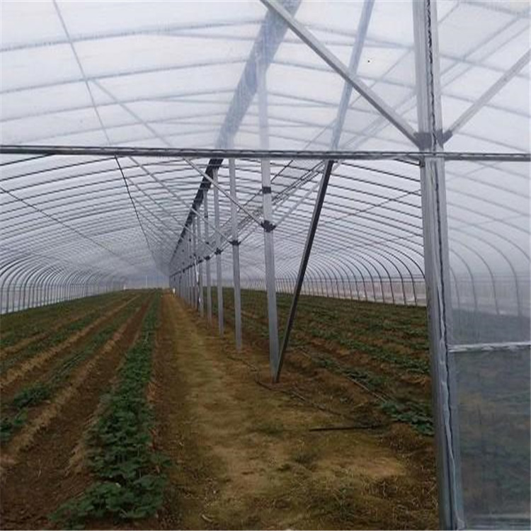 塑料薄膜大棚 拱形薄膜温室报价 蔬菜薄膜温室安装