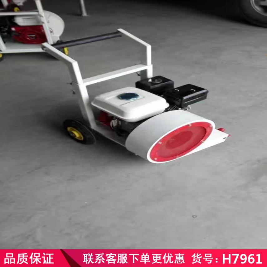 慧采路面清理吹风机 汽油式吹风机 工程用吹风机货号H7961