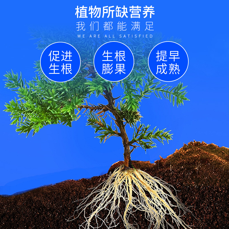 安徽蔬菜用水溶肥 蔬菜用水溶肥供货商 欢迎订购