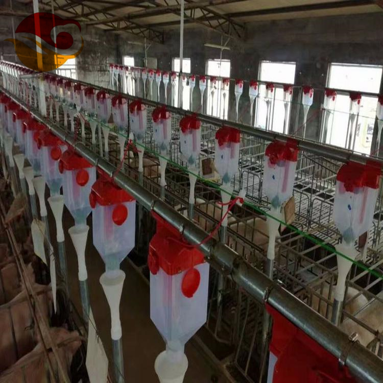 自动化养殖料线 养殖料线 猪场养殖料线厂家