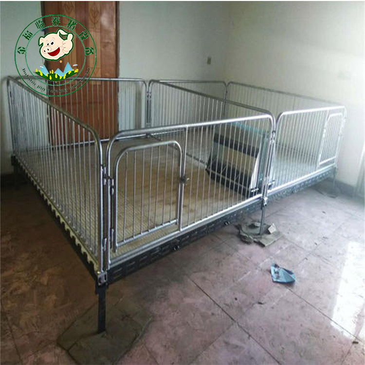 仔猪保育床 小猪保育床 全复合保育床 金福临加工