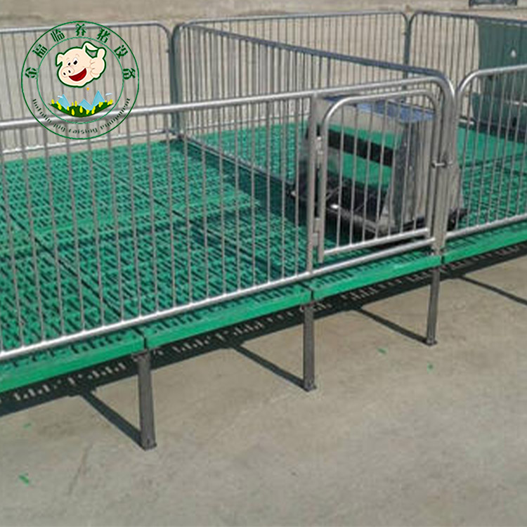 泊头金福临 养猪场保育床 保育床 加工仔猪保育床